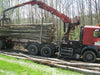 Kastanien-Rundholz – LKW-Ladung mit 50 Ster